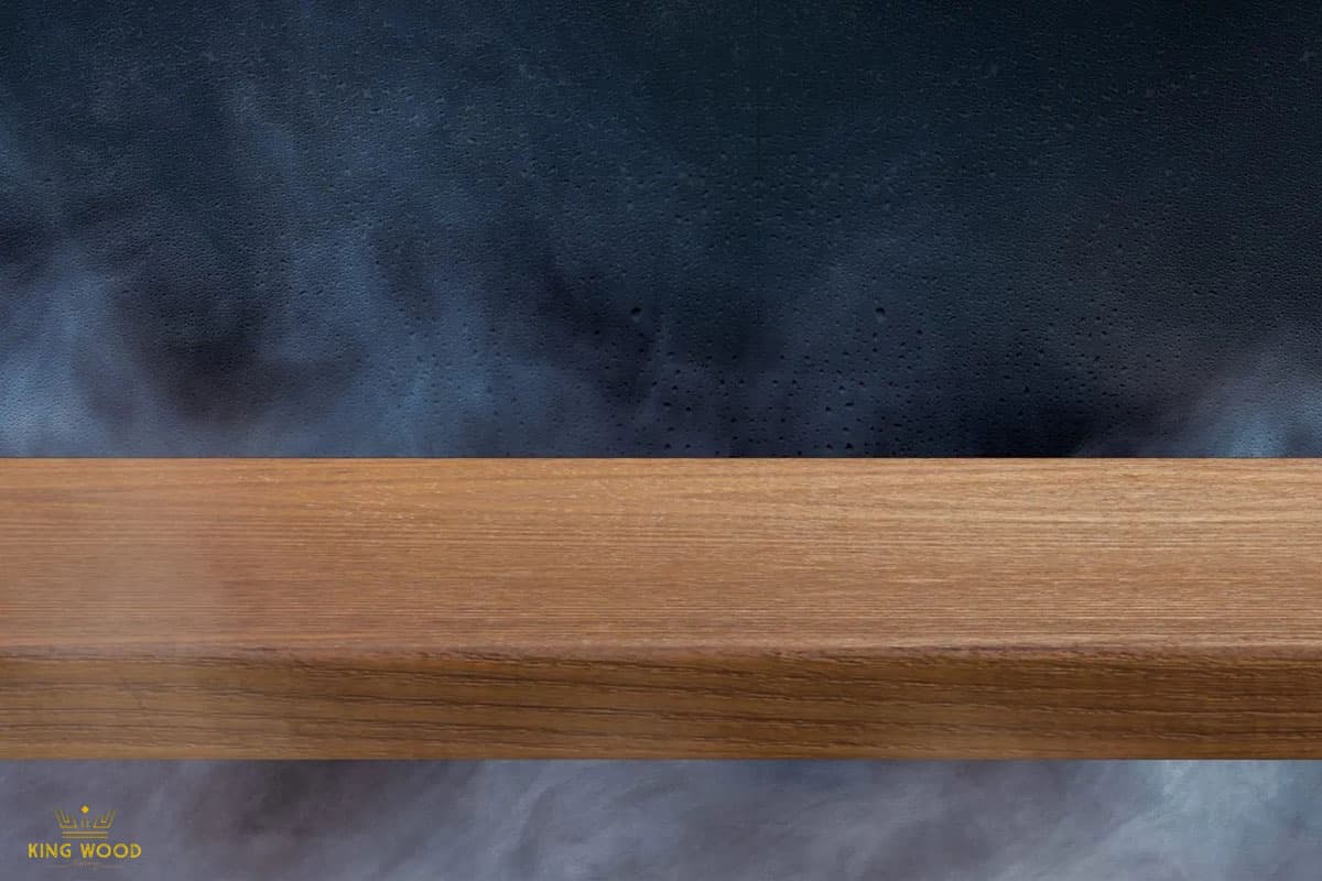 شرکت تولید کننده ترموود