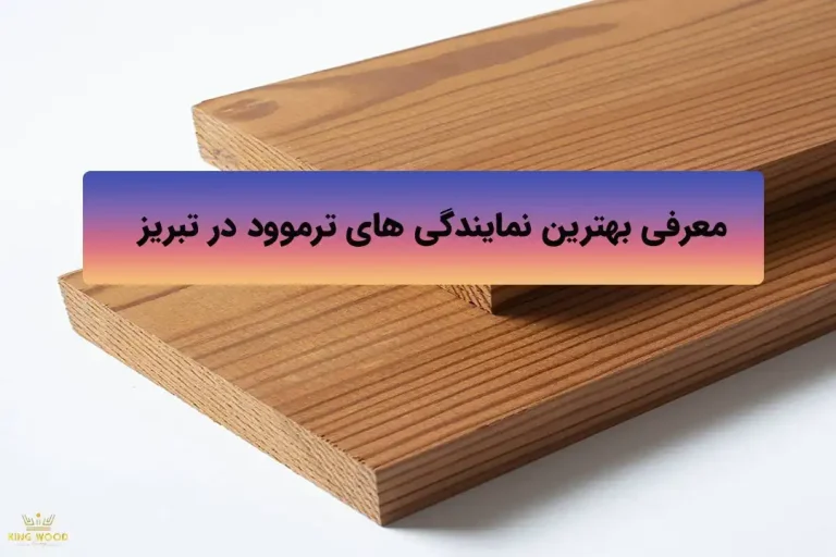 بهترین نمایندگی ترموود در تبریز