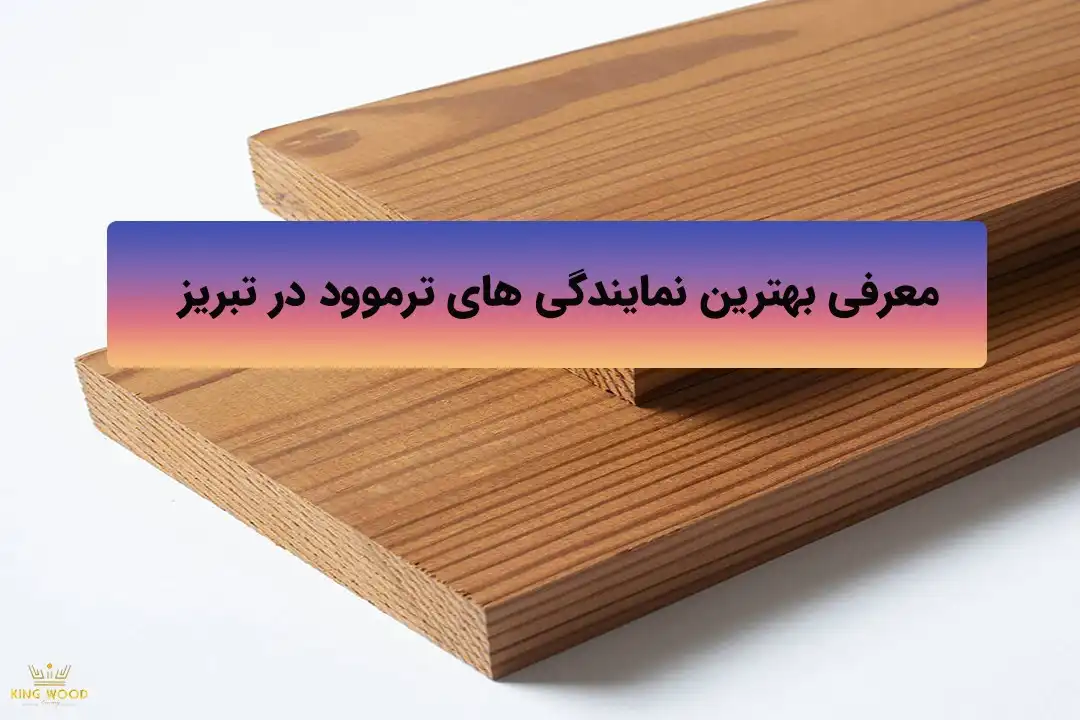 بهترین نمایندگی ترموود در تبریز