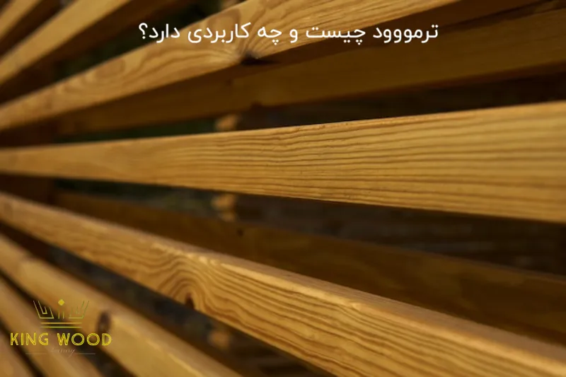 ترمووود چیست و چه کاربردی دارد؟ | راهنمای کامل به زبان ساده