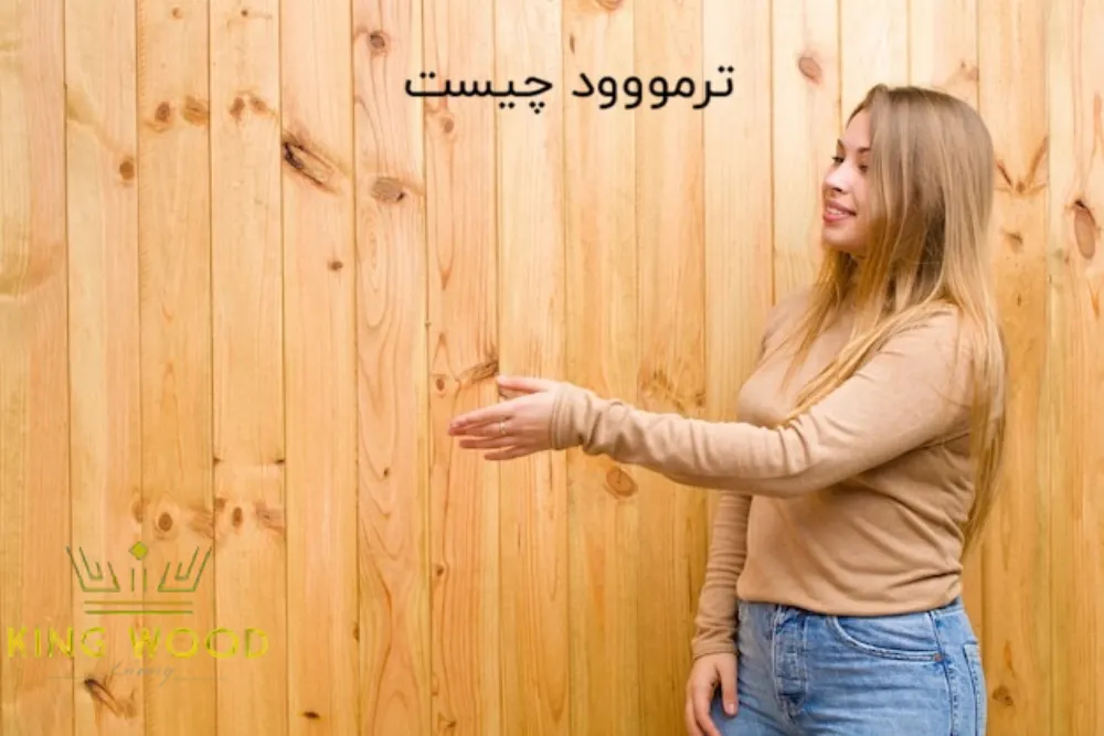 ترمووود چیست و چه کاربردی دارد؟